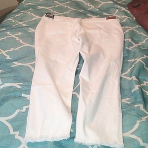 Women Hollister Crops